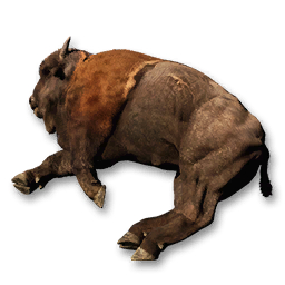 Buffalo Carcass