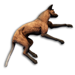 Hyena Carcass