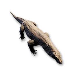 Komodo Carcass