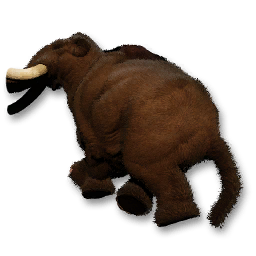 Woolly Mammoth Carcass