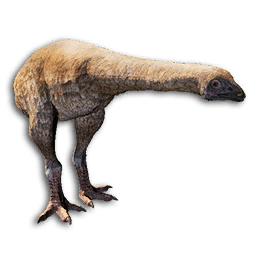 Arctic Moa Carcass