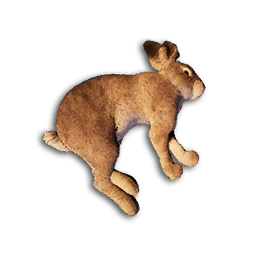 Rabbit Carcass