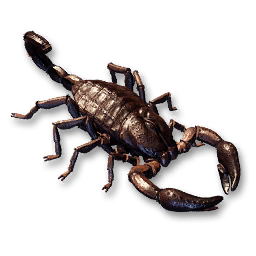 Scorpion Carcass