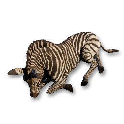 Zebra Carcass