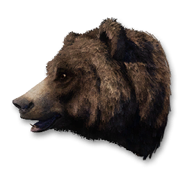 Bear Vestige
