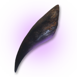 Black Wolf Tooth