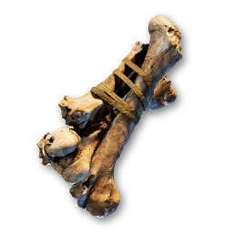 Bone