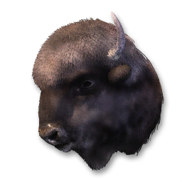 Buffalo Vestige