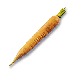 Carrot