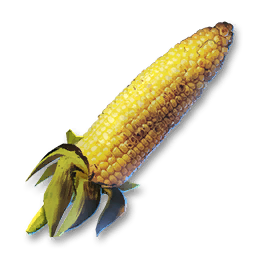Charred Corn