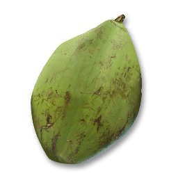 Young Coconut