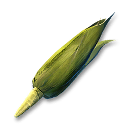 Corn