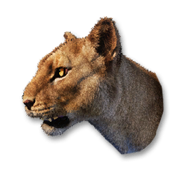 Cougar Vestige