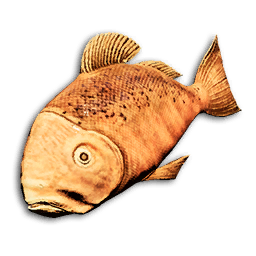 Spotted Snapper
