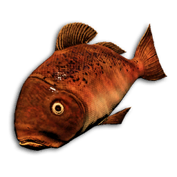 Ember Snapper