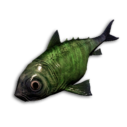 Emerald Jack