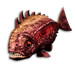 Crimson Piranha