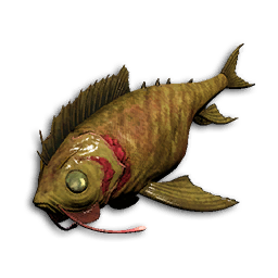 Sea Darter