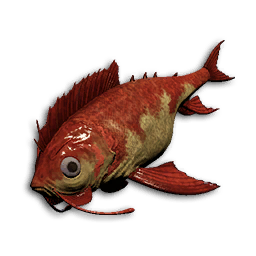 Crimson Darter