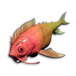 Coral Darter