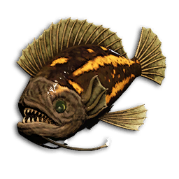 Titan Triggerfish
