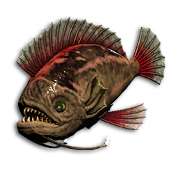 Crimson Triggerfish