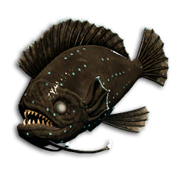 Void Triggerfish