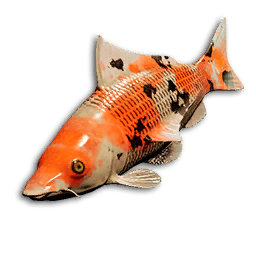 Spotted Perch