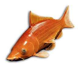 Ember Perch