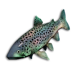Opal Trout