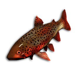 Ember Trout