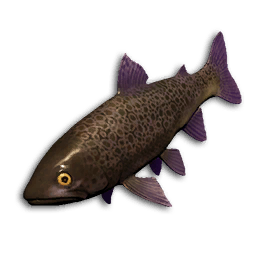 Void Trout