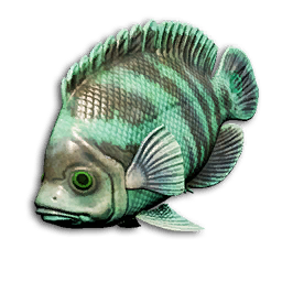 Neon Dory
