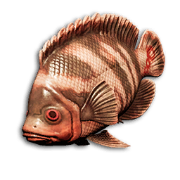 Crimson Dory