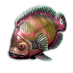 Titan Dory