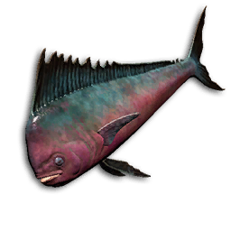 Coral Dorado