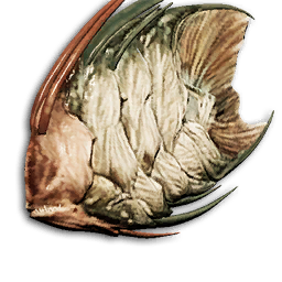Black Diamond Discus