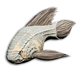 Ghostly Tang