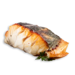 Grilled Saltwater Fillet