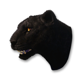 Black Jaguar Vestige