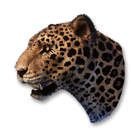 Jaguar Vestige