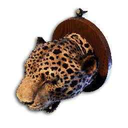 Jaguar Trophy