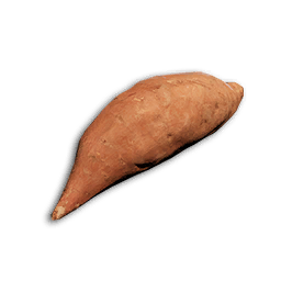 Kumara