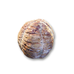 Caveworm Egg