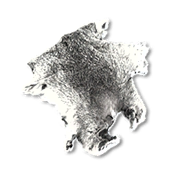 Polarbear Pelt