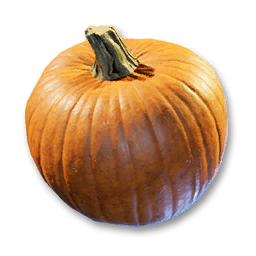 Pumpkin