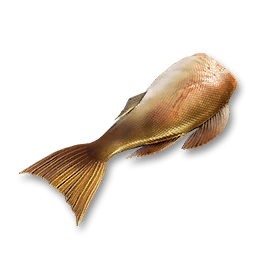 Raw Fish