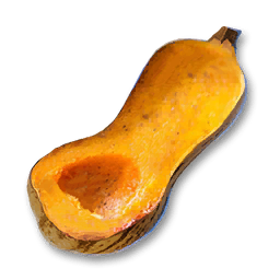 Roast Squash
