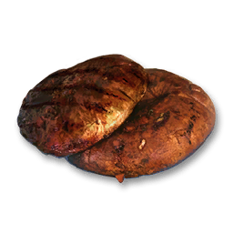 Seared Mushroom