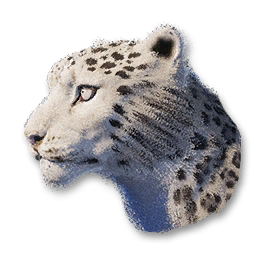 Snow Leopard Vestige